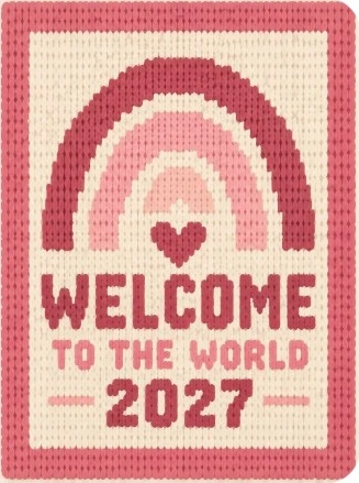 Welcome to the World 2027 — Pink illustrated blanket design preview